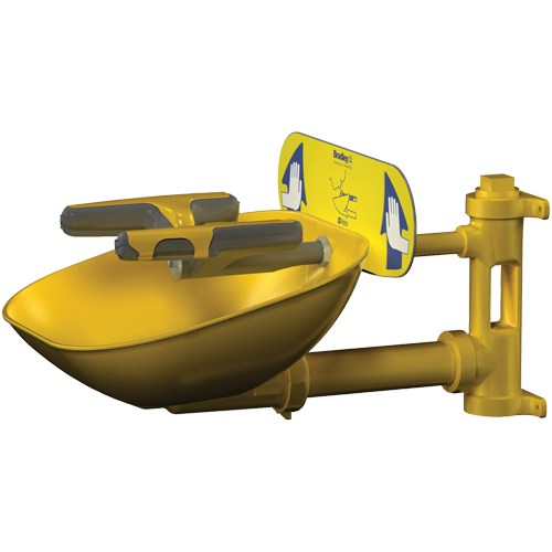 Halo Face/Eyewash Stations, Wall-Mount Installation, Plastic Bowl Helyx Safety & Industrial Supplies