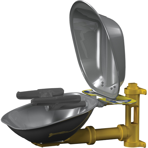 Halo Face/Eyewash Stations, Wall-Mount Installation, Stainless Steel Bowl Helyx Safety & Industrial Supplies
