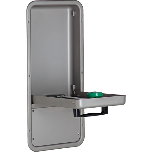 Eye/Face Wash Station, Wall-Mount Installation, Stainless Steel Bowl Helyx Safety & Industrial Supplies