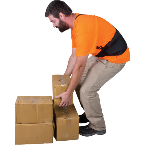 Back Support, Elastic, X-Large Helyx Safety & Industrial Supplies