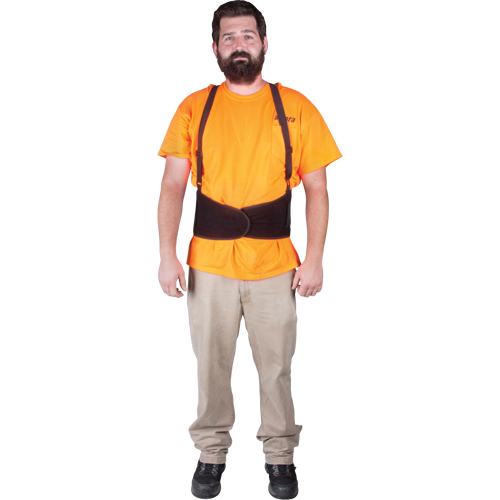 Back Support, Elastic, X-Large Helyx Safety & Industrial Supplies