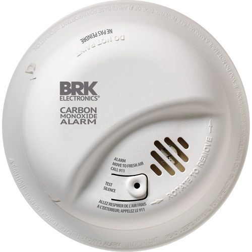 Carbon Monoxide Alarm Helyx Safety & Industrial Supplies