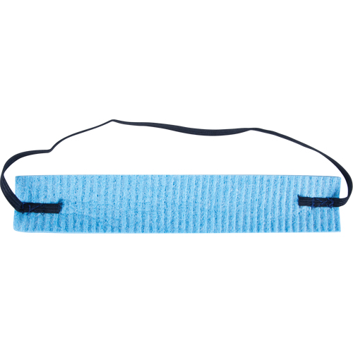 Cellulose Sweatband Helyx Safety & Industrial Supplies