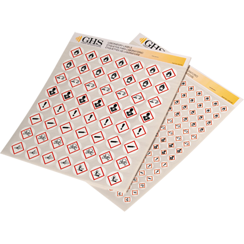 Assortiment d'&eacute;tiquettes avec pictogrammes sgh, Vinyle, Feuille, 1/2" lo x 1/2" la Helyx Safety & Industrial Supplies