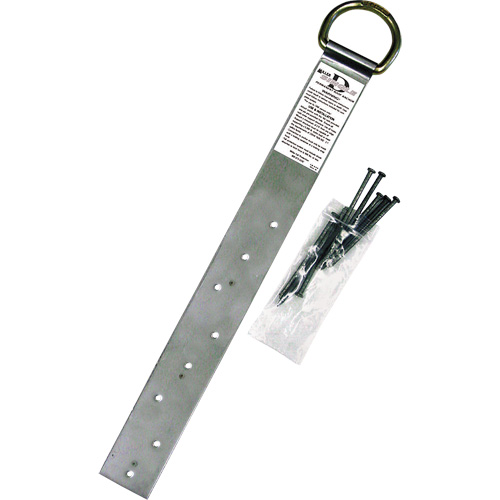 Miller&reg; Single Roof Anchor, D-Ring, Permanent Use Helyx Safety & Industrial Supplies