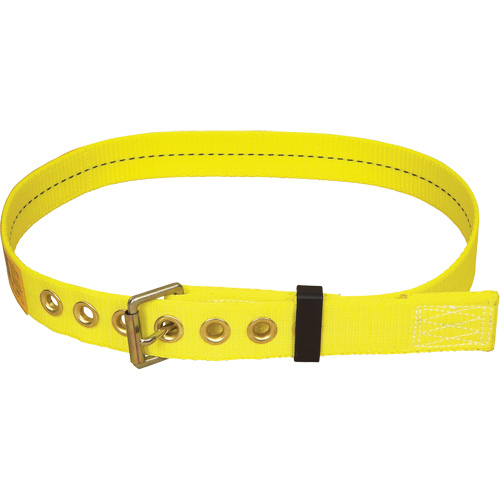 Delta Tongue -Buckle Belt Helyx Safety & Industrial Supplies