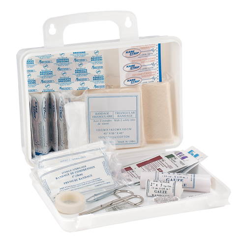 Dynamic Truck First Aid Kit, Class 1 Medical Device, Plastic B Helyx Safety & Industrial Supplies