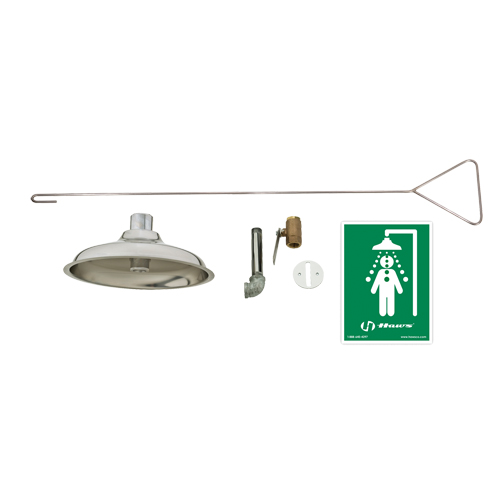 Concealed Drench Shower, Ceiling-Mount Helyx Safety & Industrial Supplies