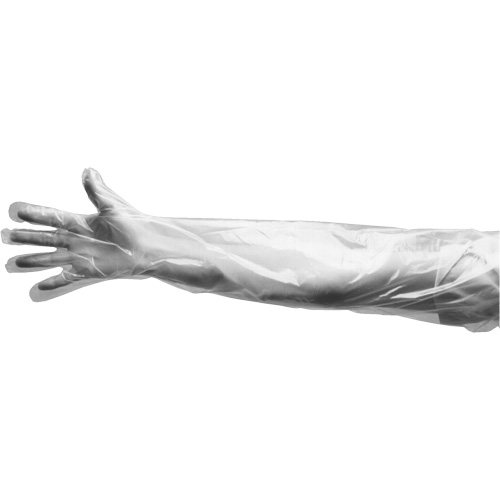 Disposable Gloves, Large, Polyethylene, 9-mil, Powdered, Clear Helyx Safety & Industrial Supplies