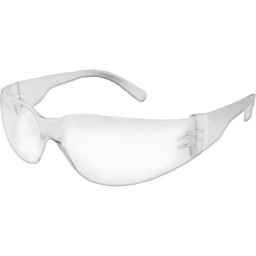 Lunettes de s&eacute;curit&eacute; s&eacute;rie E NOVA, Lentille Transparent, R&eacute;pond ou surpasse la norme CSA Z94.3 Helyx Safety & Industrial Supplies