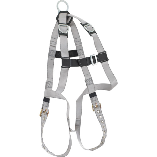 Dynamic B-Compliant Economy Harness, CSA Certified, Class AE, 310 lbs. Cap. Helyx Safety & Industrial Supplies