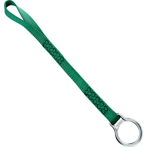 Extension avec anneau en D simple, Anneau en D, Usage Temporaire Helyx Safety & Industrial Supplies