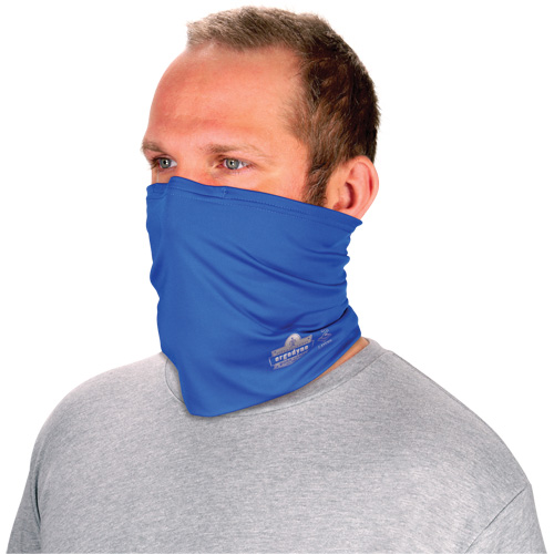 Chill-Its 6489 2-Layer Cooling Multi-Band, Blue Helyx Safety & Industrial Supplies
