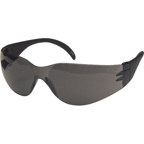 CeeTec Safety Glasses, Grey Lens, Anti-Fog/Anti-Scratch, Meets/Exceeds CSA Z94.3 Helyx Safety & Industrial Supplies