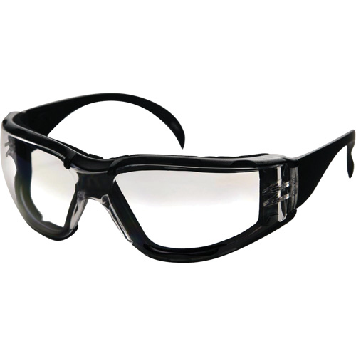 CeeTec DX Safety Glasses, Clear Lens, Anti-Fog/Anti-Scratch, Meets/Exceeds CSA Z94.3 Helyx Safety & Industrial Supplies