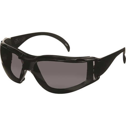CeeTec DX Safety Glasses, Grey Lens, Anti-Fog/Anti-Scratch, Meets/Exceeds CSA Z94.3 Helyx Safety & Industrial Supplies