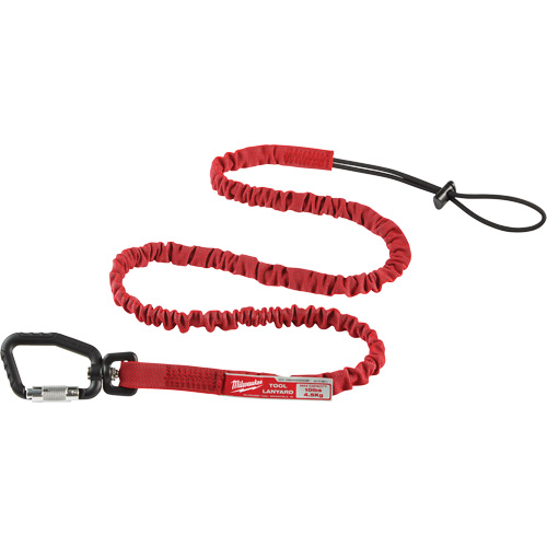 Longe verrouillable pour outils &agrave; port&eacute;e &eacute;tendue, Tendeur, Mousqueton/boucle Helyx Safety & Industrial Supplies