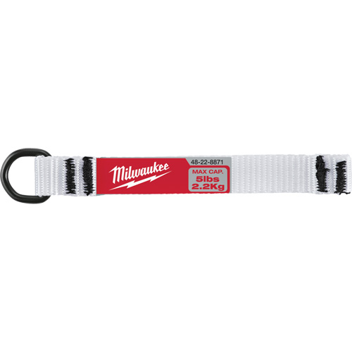 Sangle de fixation avec anneau en D de 5 lb Helyx Safety & Industrial Supplies