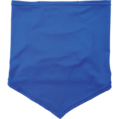Chill-Its 6483 Cooling Neck Gaiter Bandana with Pocket, Blue Helyx Safety & Industrial Supplies