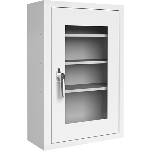 Lockable Medicine Cabinet with Plexiglas Door Helyx Safety & Industrial Supplies