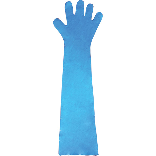 Disposable Gloves, Polyethylene, Powder-Free, Blue Helyx Safety & Industrial Supplies