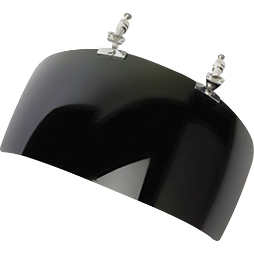 Visi&egrave;re de la s&eacute;rie DP4, Teinte IR 5.0 Helyx Safety & Industrial Supplies