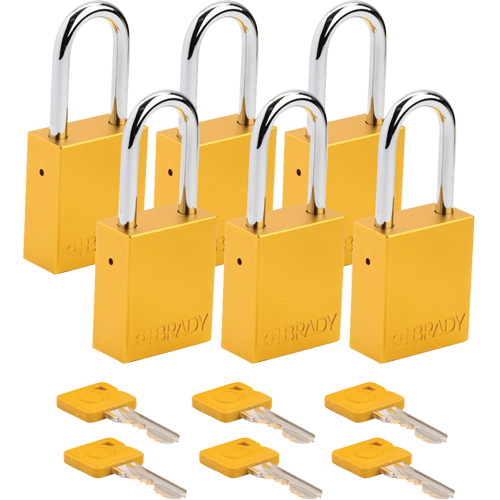 Cadenas de s&eacute;curit&eacute;, Cadenas de s&eacute;curit&eacute;, Cl&eacute;s identiques, Aluminium, Largeur de 1-1/2" Helyx Safety & Industrial Supplies