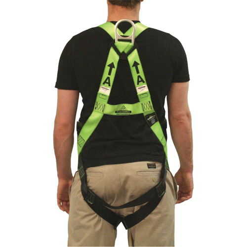 FBH-10000L Contractor Series Safety Harness, CSA Certified, Class AL, 400 lbs. Cap. Helyx Safety & Industrial Supplies