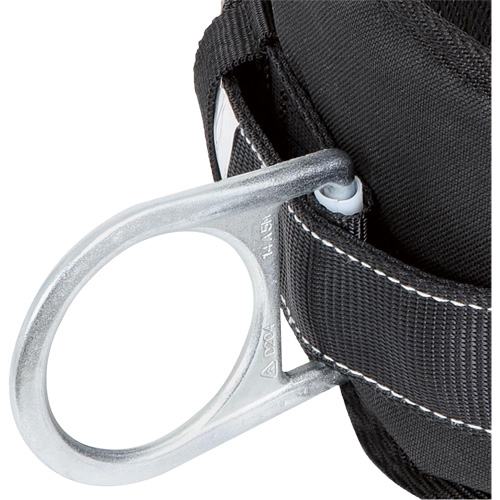 WB-6020-S Dispositif de retenue de s&eacute;curit&eacute; avec ceinture &agrave; deux anneaux en D et support lombaire rembourr&eacute; - Petit Helyx Safety & Industrial Supplies