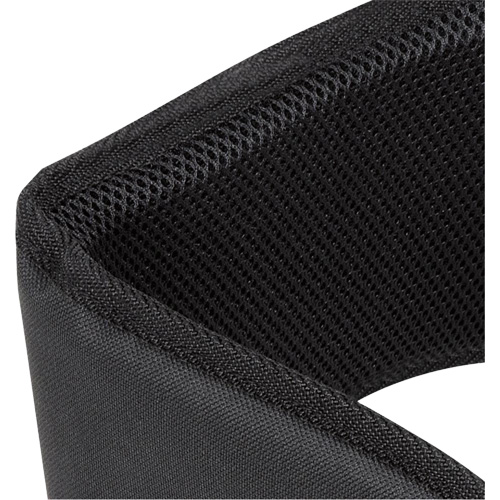 WB-6006 Padded Lumbar Support for Belt - Universal Helyx Safety & Industrial Supplies