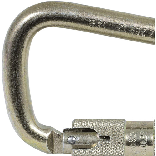 CP-03015-1 Mousqueton zingu&eacute; avec ouverte de portique de 1", Acier Helyx Safety & Industrial Supplies