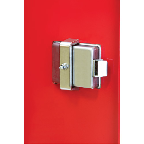 Armoires ext&eacute;rieures robustes pour extincteurs, 14" la x 28" h x 10" p Helyx Safety & Industrial Supplies