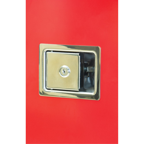 Armoires ext&eacute;rieures robustes pour extincteurs, 14" la x 28" h x 10" p Helyx Safety & Industrial Supplies