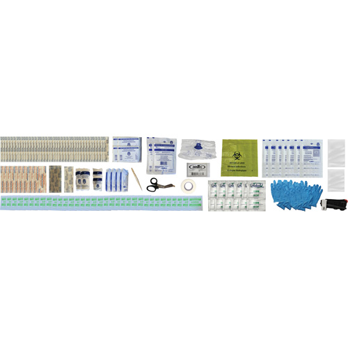 Shield First Aid Kit, Meets/Exceeds CSA Z1220-24 Type 2 Low-Risk Environment, Medium (26-50 Workers) Helyx Safety & Industrial Supplies