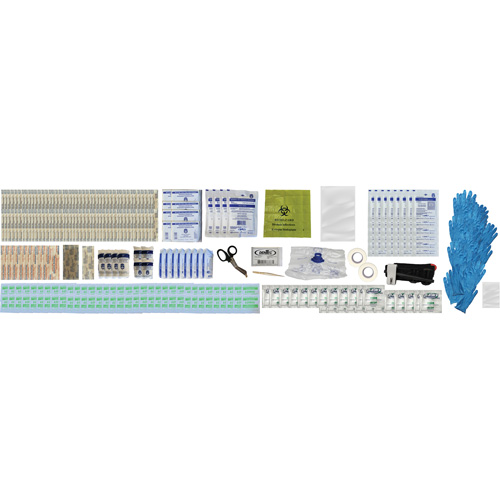 Shield First Aid Kit, Meets/Exceeds CSA Z1220-24 Type 2 Low-Risk Environment, Large (51-100 Workers) Helyx Safety & Industrial Supplies