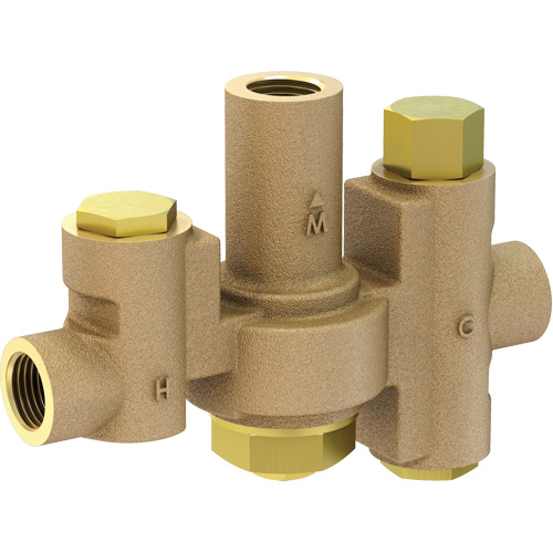 Mid-Capacity Thermostatic Mixing Valve for Individual Eye/Face Wash Stations, 2 - 35.1 GPM Helyx Safety & Industrial Supplies