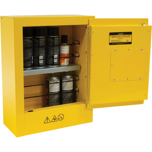 Armoire de s&eacute;curit&eacute; miniature pour produits inflammables, 2 gal., 1 Porte(s), 17" La x 22" h x 8" p Helyx Safety & Industrial Supplies