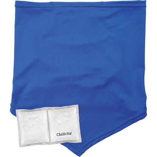 Chill-Its 6482 Cooling Neck Gaiter Bandana with Rechargeable Phase Change Packs, Small/Medium, Blue Helyx Safety & Industrial Supplies