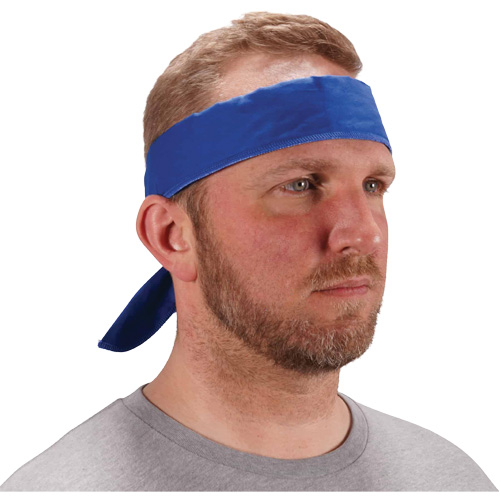 Chill-Its 6702 Cooling Headband with Embedded Polymers & Tie Closure, Blue Helyx Safety & Industrial Supplies