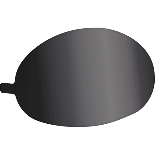 Tinted Lens Covers Helyx Safety & Industrial Supplies