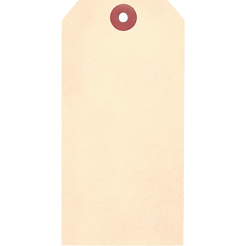 Manila Blank Tags, Cardstock, 1-3/8" W x 2-3/4" H Helyx Safety & Industrial Supplies