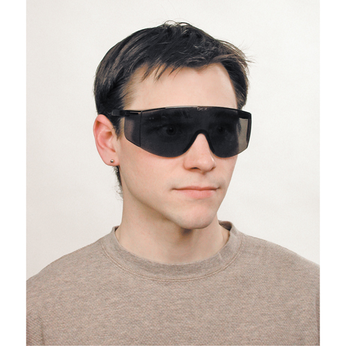 Tacoma&reg; Safety Glasses, Grey/Smoke Lens, Anti-Scratch, ANSI Z87+ Helyx Safety & Industrial Supplies