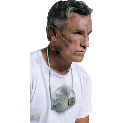 Respirateurs  contre les particules 2700, N95, Certifi&eacute; NIOSH, Grand/Moyen Helyx Safety & Industrial Supplies