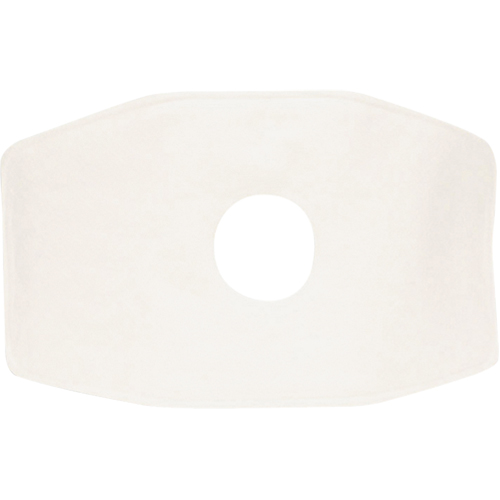North&reg; Replacement Filter, Particulate Filter, N99 Filter Helyx Safety & Industrial Supplies