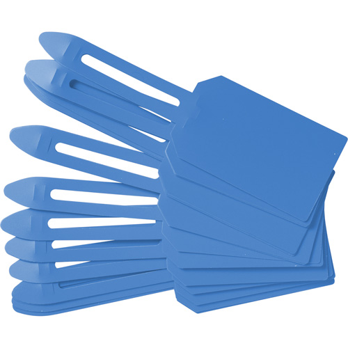 Blank Plastic Lock-On Tags, Plastic, 3-1/4" W x 5-4/5" H, Blank Helyx Safety & Industrial Supplies