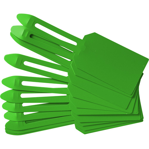 Blank Plastic Lock-On Tags, Plastic, 3-1/4" W x 5-4/5" H, Blank Helyx Safety & Industrial Supplies