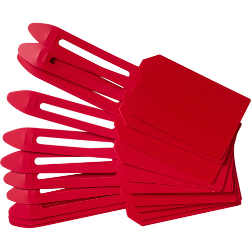 Blank Plastic Lock-On Tags, Plastic, 3-1/4" W x 5-4/5" H, Blank Helyx Safety & Industrial Supplies