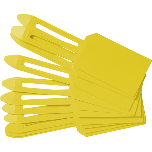 Blank Plastic Lock-On Tags, Plastic, 3-1/4" W x 5-4/5" H, Blank Helyx Safety & Industrial Supplies