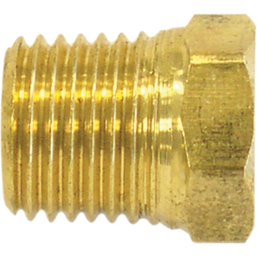 Pipe Plug (Hex Head), 1/4" Dia., Brass Helyx Safety & Industrial Supplies