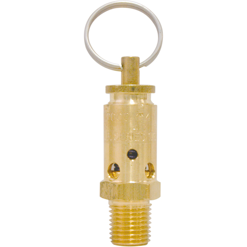 Soupapes de s&eacute;curit&eacute; Helyx Safety & Industrial Supplies